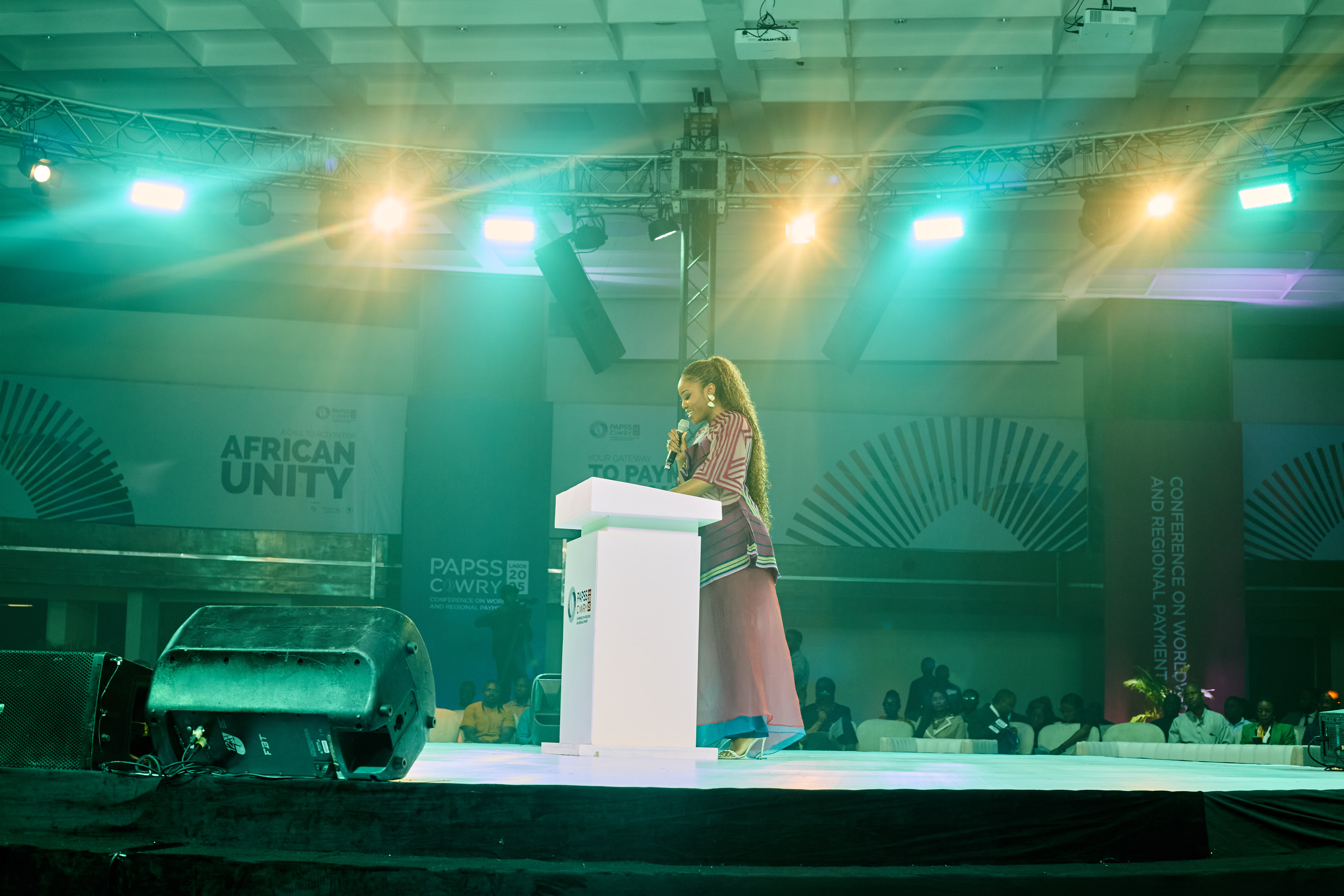 Lake Efi documentary branding image